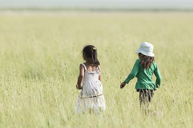 Les Clés pour Élaborer un Plan Finance Réussi